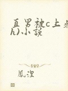 直男被c上瘾(h)小说