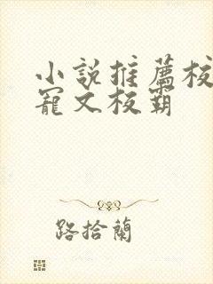 小说推荐校园甜宠文校霸