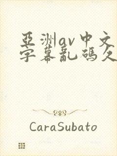 亚洲av中文字字幕乱码久久