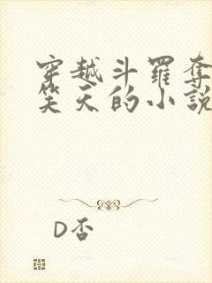 穿越斗罗夺舍风笑天的小说