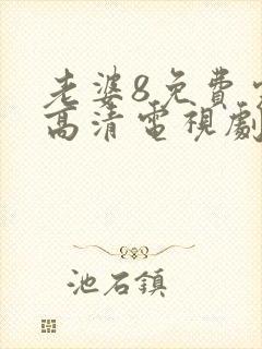 老婆8免费完整高清电视剧在线封面