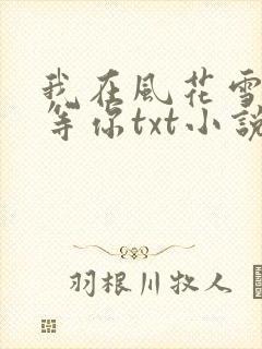 我在风花雪月里等你txt小说封面
