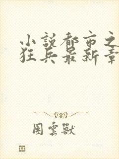 小说都市之最强狂兵最新章节封面