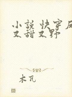 小说 快穿反派又甜又野