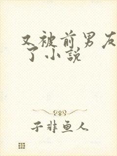 又被前男友盯上 了小说