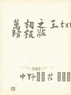 万相之王txt精校版