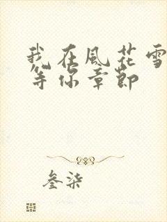 我在风花雪月里等你章节封面