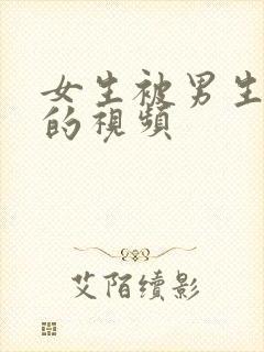 女生被男生操爽的视频封面