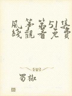 风筝第51集在线观看免费