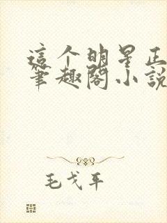 这个明星正得邪笔趣阁小说封面