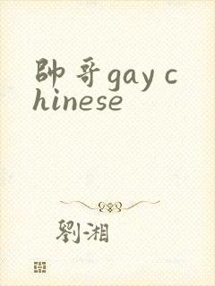 帅哥gay chinese