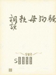 调教母狗骚货小说