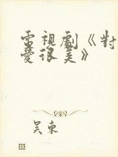 电视剧《对你的爱很美》封面