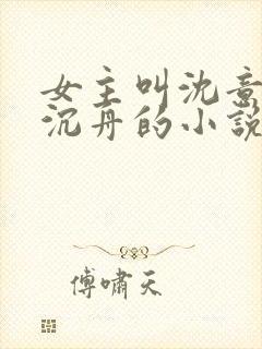 女主叫沈意欢陆沉舟的小说封面