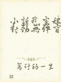 小说我家娘子不对劲无弹窗无广告