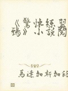 《惊悚练习生妄鸦》小说阅读封面