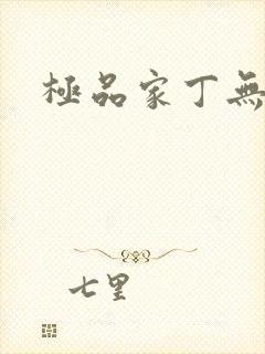 极品家丁无删减