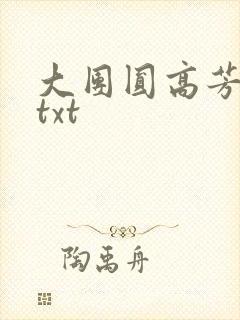大团圆高芳小说txt