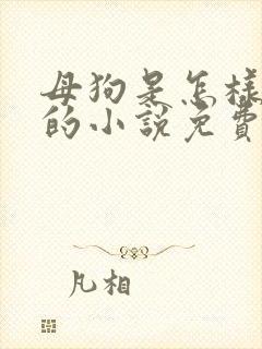 母狗是怎样炼成的小说免费阅读