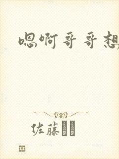 嗯啊哥哥想要封面