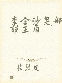 李含沙是哪部小说主角封面