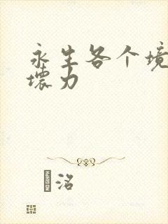 永生各个境界破坏力