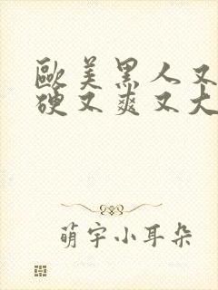 欧美黑人又粗又硬又爽又大视频