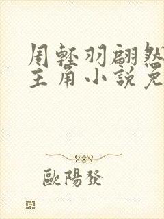 周轻羽翩然仙子主角小说免费阅读下载