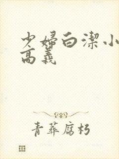 少妇白洁小说,高义