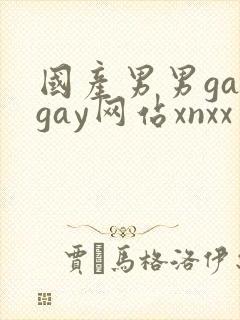 国产男男gaygay网站xnxx封面