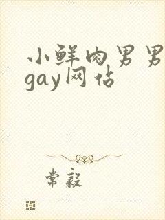 小鲜肉男男同性gay网站