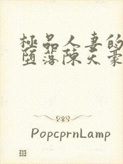 极品人妻的无奈堕落陈天豪