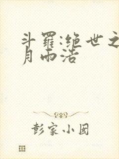 斗罗:绝世之日月雨浩