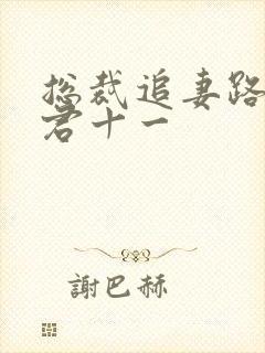 总裁追妻路漫漫君十一