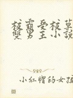 校霸受校草攻的双男主小说封面