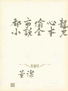 都市偷心龙爪手小说全本免费阅读封面