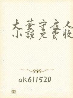 大苍守夜人有声小说免费收听