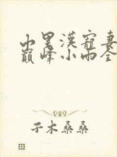 山里汉宠妻无度巅峰小雨全文免费阅读