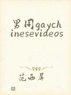 男同gaychinesevideos