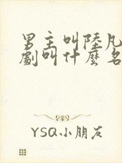 男主叫陆凡的短剧叫什么名字