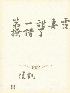 第一甜妻霍先生撩错了