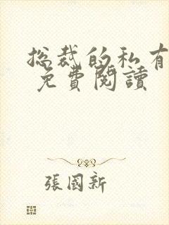 总裁的私有宝贝 免费阅读封面