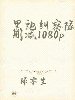 黑袍纠察队3无删减1080p