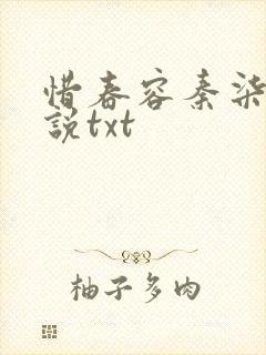 惜春容秦柒过小说txt