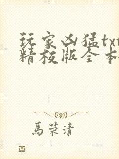 玩家凶猛txt精校版全本下载