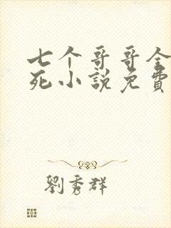 七个哥哥全部战死小说免费阅读封面