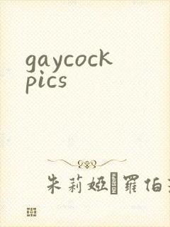 gaycockpics封面