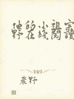 他的小祖宗甜又野在线阅读