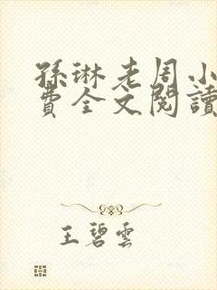 孙琳老周小说免费全文阅读