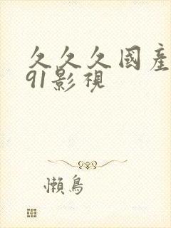 久久久国产精品91影视